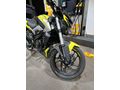 Garaj Motoru 1600 Dominar 250