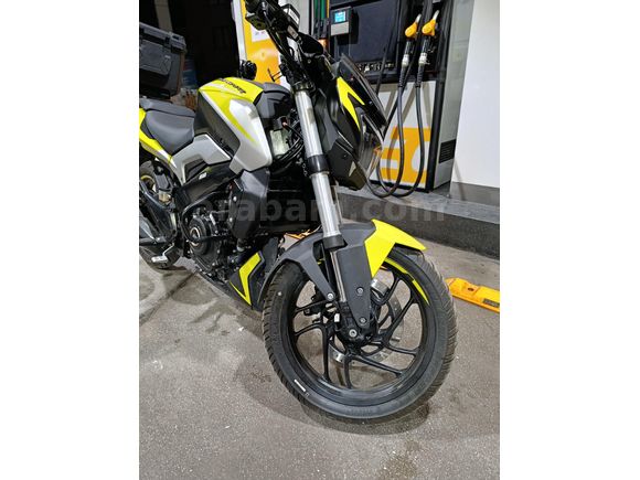 Garaj Motoru 1600 Dominar 250