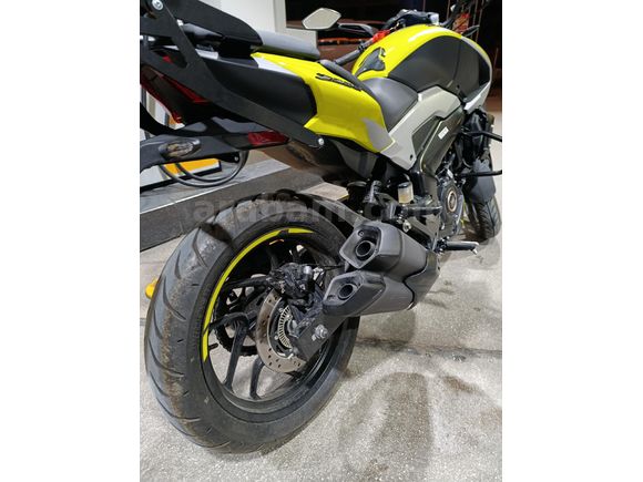 Garaj Motoru 1600 Dominar 250