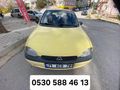 Sahibinden sarı civcivı