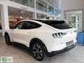 Ford Bayi Gürbaşlar Mustang Mach-e Extended Range 600km Menzil