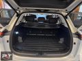 POLATTAN 2025 JAECOO J7 EVOLVE 4x4CAM TAVAN ELEKTRİKLİ BAGAJ FUL