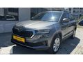 24 MODEL Karoq 1.5 TSİ ACT PREMİUM DSG CAM TAVAN