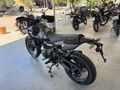HIMALAYAN 450 (TBL-Mana Black)