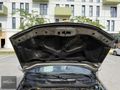 TERZİOĞLU MOTORS'DAN DEĞİŞENSİZ İLK ELDEN ÇİÇEK ALBEA