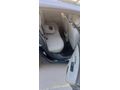 HARİKA TEMİZLİKTE DEĞİŞENSİZ MEGANE