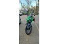 Sahibinden RKS Blackwolf 250