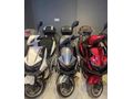 Galeriden Arora ZR 5 Leopar  Manisa