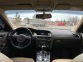 Sahibinden Audi A4 Sedan 2.0 TDI 2014 Model 
