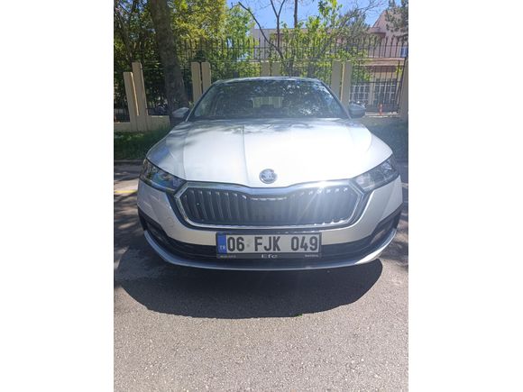 Sahibinden Skoda Octavia 1.0 e-Tec Elite 2024 Model