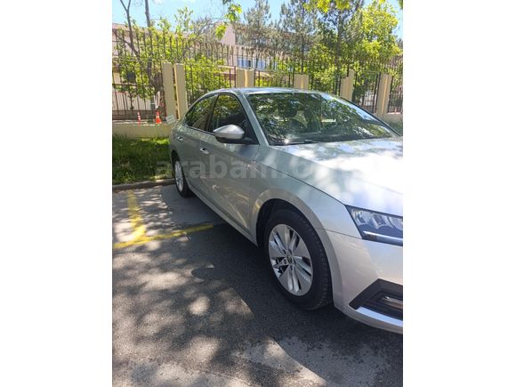 Sahibinden Skoda Octavia 1.0 e-Tec Elite 2024 Model