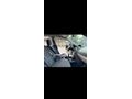 Sahibinden Renault Megane 1.5 dCi Expression 2007 Model
