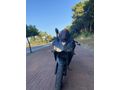 Sahibinden Yamaha YZF R25 