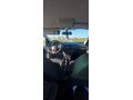 Sahibinden Opel Corsa 1.2 Essentia 2016 Model