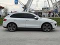 MS MOTORS/CAYENNE/BAYİ/CHRONO/AİRMATİC/BOSE/
