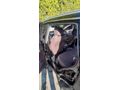 Sahibinden Chery Tiggo 8 Pro Max Exceptional 2025 Model 