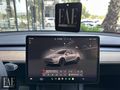 56.700 KM 2023 MODEL TESLA MODEL Y PERFORMANCE (TAVAN PERDELİ)