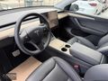 ÖZGÜN 2023 TESLA PERFORMANCE HATASIZ-BOYASIZ QUİCKSİLVER