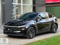 EGARAJ | 2025 TESLA JUNİPER FULL PPF