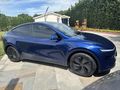 2025 TESLA MODEL Y JUNIPER PREMIUM LACIVERT