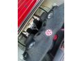 Sahibinden Volkswagen Polo 1.4 2001 Model 