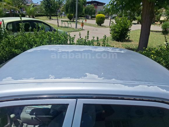 Boyasız  Bakımlı Coralla