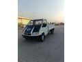 Galeriden Ford Trucks Transit 190 P Aydın