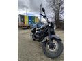 Sahibinden Falcon Freedom 250