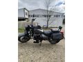 Sahibinden Falcon Freedom 250