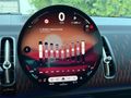 BOYASIZ 2024 MİNİ CONTRYMAN 2.0 JOHN COOPER WORKS ALL4 300 HP