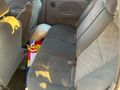 Sahibinden Chevrolet Kalos 1.2 SE 2005 Model 