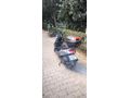 Arora Quantum 50/125 (ÖZEL SERİ)