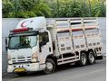 ÇORTULLAR AUTO DAN NPR 3D BOYASIZ 228 BİN KM