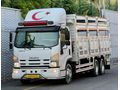 ÇORTULLAR AUTO DAN NPR 3D BOYASIZ 228 BİN KM