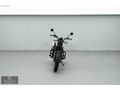 'GALATA' 2024 HONDA CL 250