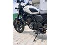 2023 HONDA CL 250