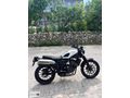 2023 HONDA CL 250