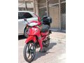 monial 50 sfc