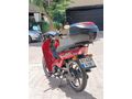 monial 50 sfc