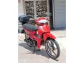 monial 50 sfc