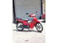monial 50 sfc