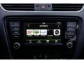 2017 ÇIKIŞLI HATASIZ BOYASIZ OCTAVİA 1.6 TDİ DSG OPTİMAL