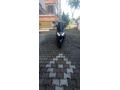 Sahibinden RKS Newlight 125 Pro