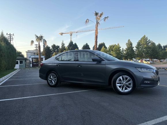 Sahibinden Skoda Octavia 1.0 e-Tec Elite 2023 Model 