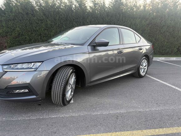 Sahibinden Skoda Octavia 1.0 e-Tec Elite 2023 Model 