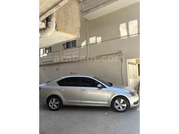 Sahibinden Skoda Octavia 1.6 TDI Optimal 2017 Model 