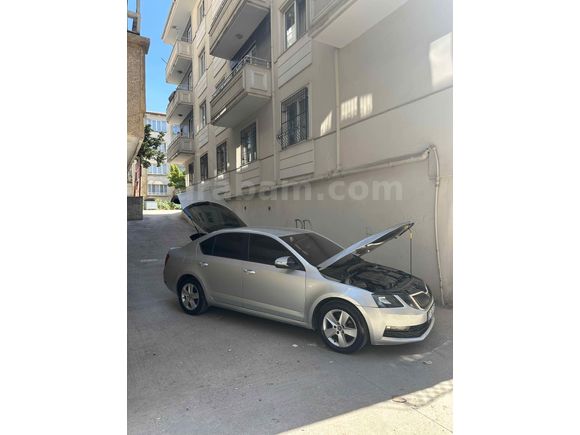 Sahibinden Skoda Octavia 1.6 TDI Optimal 2017 Model 