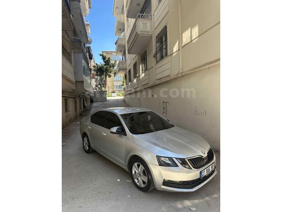 Sahibinden Skoda Octavia 1.6 TDI Optimal 2017 Model 