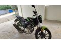 Sahibinden Falcon Mexico 150