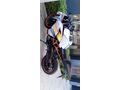 Sahibinden KTM 250 RC ABS